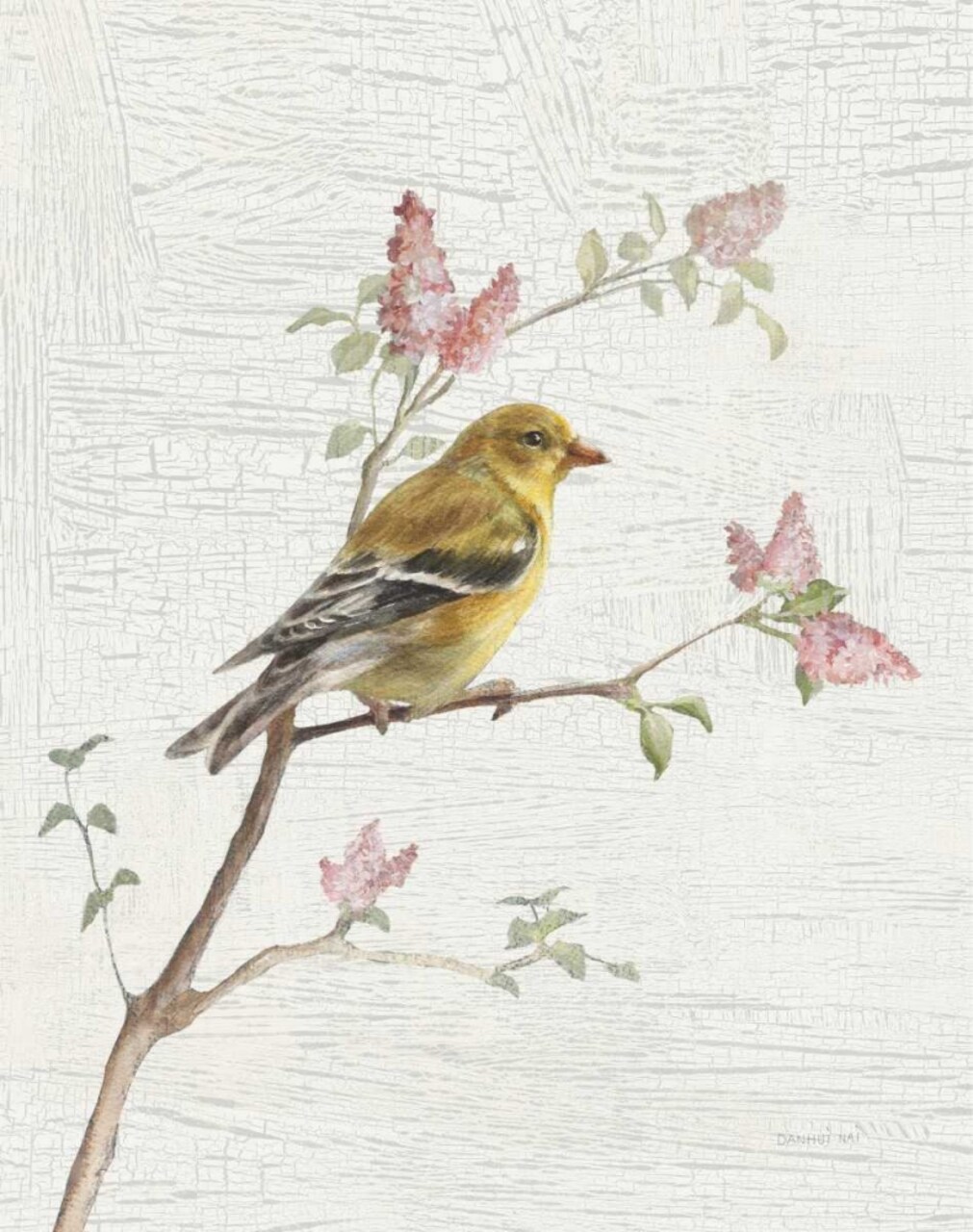 Female Goldfinch Vintage v2 Poster Print by Danhui Nai - Item # VARPDX32265